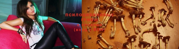 мяу мяу мука Армянск
