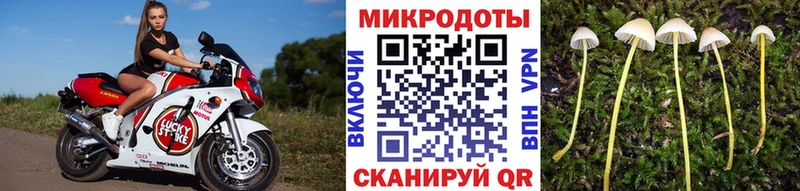 MEGA маркетплейс Калтан Галлюциногенные грибы Psilocybe дарнет шоп